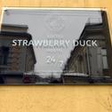 Hostel Strawberry Duck Moscow