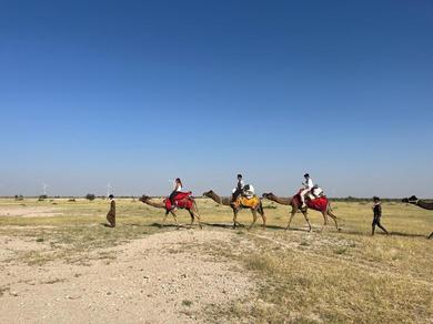 Люкс-шатер Trotters Tours & Travels Camel Safari Desert Camps
