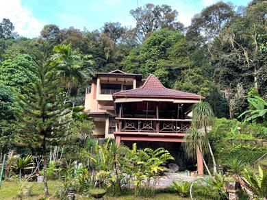 Villa Purimai Jungle House in the heart of Kuala Lumpur