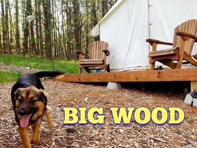 Люкс-шатер Tentrr Signature Site - Big Wood