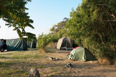 Luxury tent serenity camp