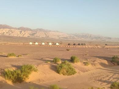Отель Wadi Araba Camp