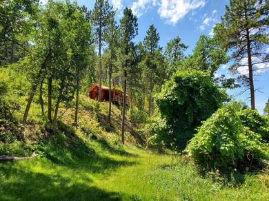 Отель Cozy Cabin 10 minutes from Downtown Spearfish