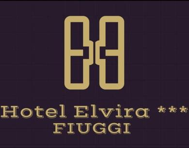 Отель Hotel Elvira Fiuggi
