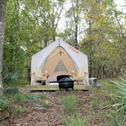 Luxury tent Tentrr State Park Site - Louisiana Fontainebleau State Park - Pond View G - Single Camp