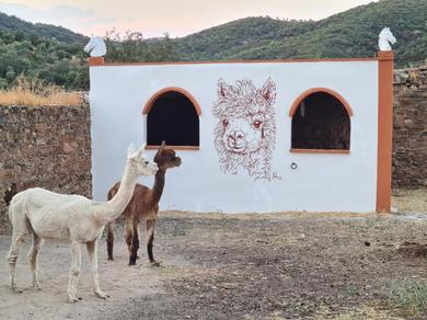 Villa Experience Alpacas in Andalucia