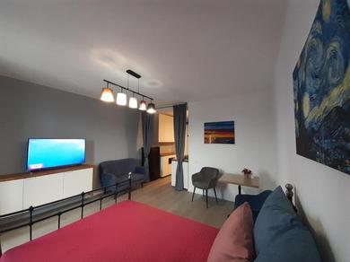 AeroView studio apartment