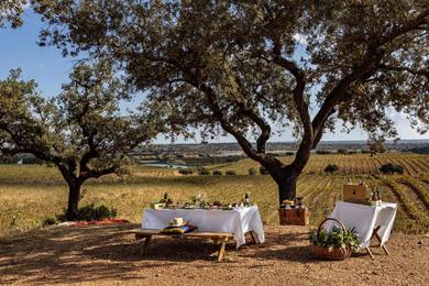 Guest house Herdade Do Sobroso Wine & Luxury Boutique Hotel