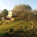 Holiday home Bastide au milieu des vignes et des oliviers Aups