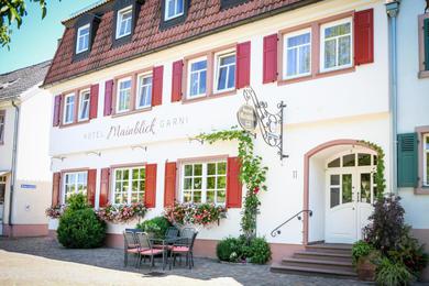 Отель Hotel Mainblick Garni
