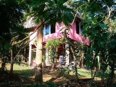 Lodge Vanilla Jungle Lodge - Rainforest Waterfall Garden