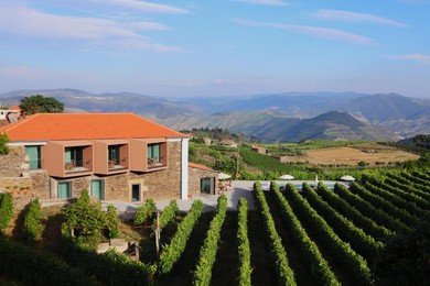 Casa do Santo - Wine & Tourism