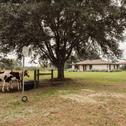 Holiday home Sealy Home with Pasture Views and Near Hiking!