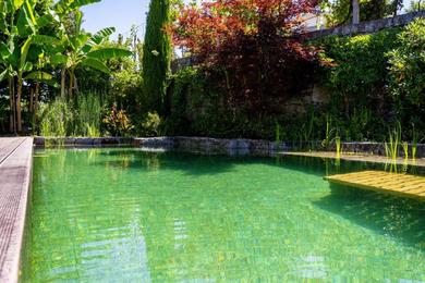 Дом отдыха Gondomar Guimarães - Moradia V3 com piscina natural by House and People
