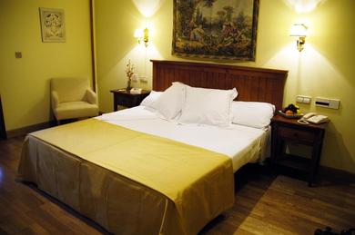 Отель Hotel Casona de la Reyna