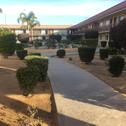 Мотель Budget Lodge San Bernardino