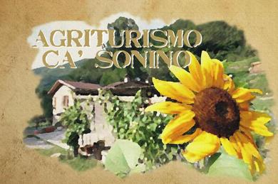Guest house Agriturismo Cà Sonino