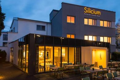 Отель Hotel Silicium