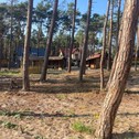 Apartments Międzywodzie domek nad Bałtykiem na wydmie 200m morze dawny ośrodek Boberek