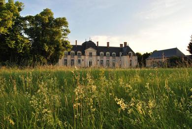 Guest house Chateau La Touanne Loire valley