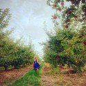 Люкс-шатер Tentrr Signature - Hidden Acres Orchards