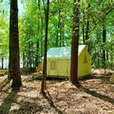 Luxury tent Tentrr State Park Site - Lake D'Arbonne State Park Site B