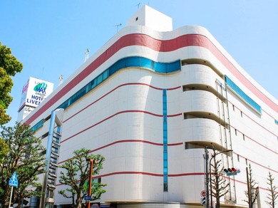 Отель HOTEL LiVEMAX BUDGET Hamamatsu-Ekimae
