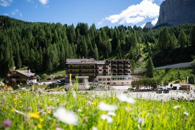 Отель Hotel Plan De Gralba - Feel the Dolomites