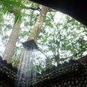 Курорт Bamboo Bungalows