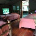 Лодж Rafiki Safari Lodge