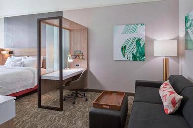 Отель SpringHill Suites by Marriott East Lansing University Area, Lansing Area