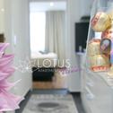 Апартаменты Lotus Apartment Vienna