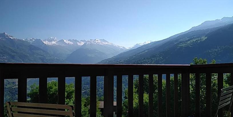 Апартаменты Montchavin La Plagne, pistes 50m, balcon vue Mont Blanc