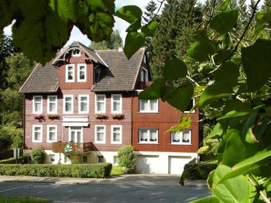 Апартаменты Harzhaus-am-Brunnen-Ferienwohnung-1
