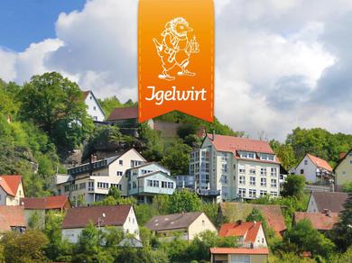 Отель Berggasthof Hotel Igelwirt