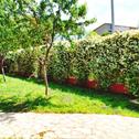 Holiday home Vacanze Sotto Le Stelle