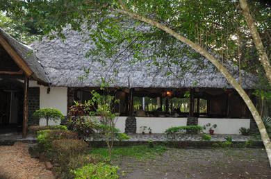 Lodge Ishasha Jungle Lodge