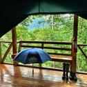 Люкс-шатер Tami Lodge