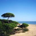 Holiday home Beach, sun & golf on Costa de la Luz - Nuevo Portil - ideal beach or golf break - 1 to 6 people