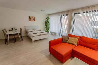 Apartments Spacious Terrace Apartment with free private parking
