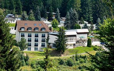 Hotel Waldhotel-Feldbachtal