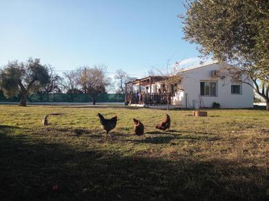 Holiday home Casa de Campo Los Manueles Ideal Perros Pet Friendly