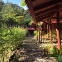 Лодж Esquinas Rainforest Lodge