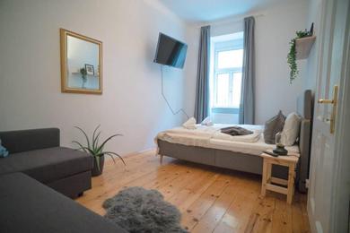 Апартаменты Cosy and Spacious Apartment in the heart of Innsbruck