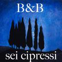 Guest house B&B Sei Cipressi