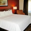 Hotel Savanna Inn & Suites