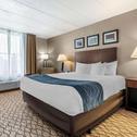 Отель Comfort Inn & Suites Glen Mills - Concordville