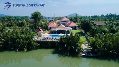 Отель Bluebird Lodge Kampot