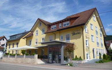 Отель Gasthof Blume