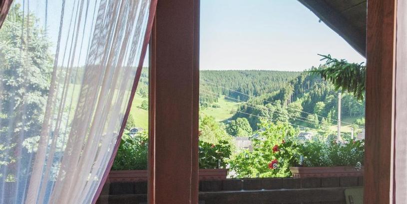 Дом отдыха Cosy holiday home with sauna in the Thuringian Forest
